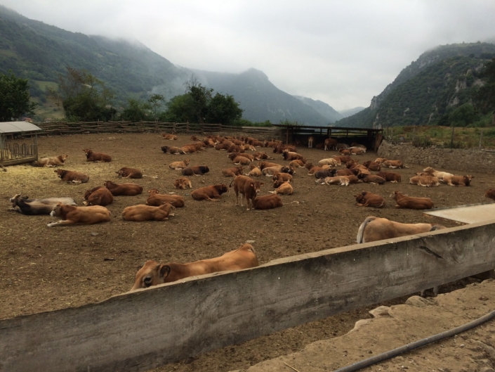 Whatsapp Image 2024-04-18 At 13.07.24