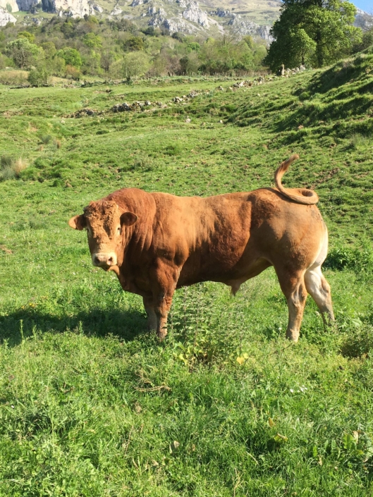 Whatsapp Image 2024-04-18 At 13.07.42