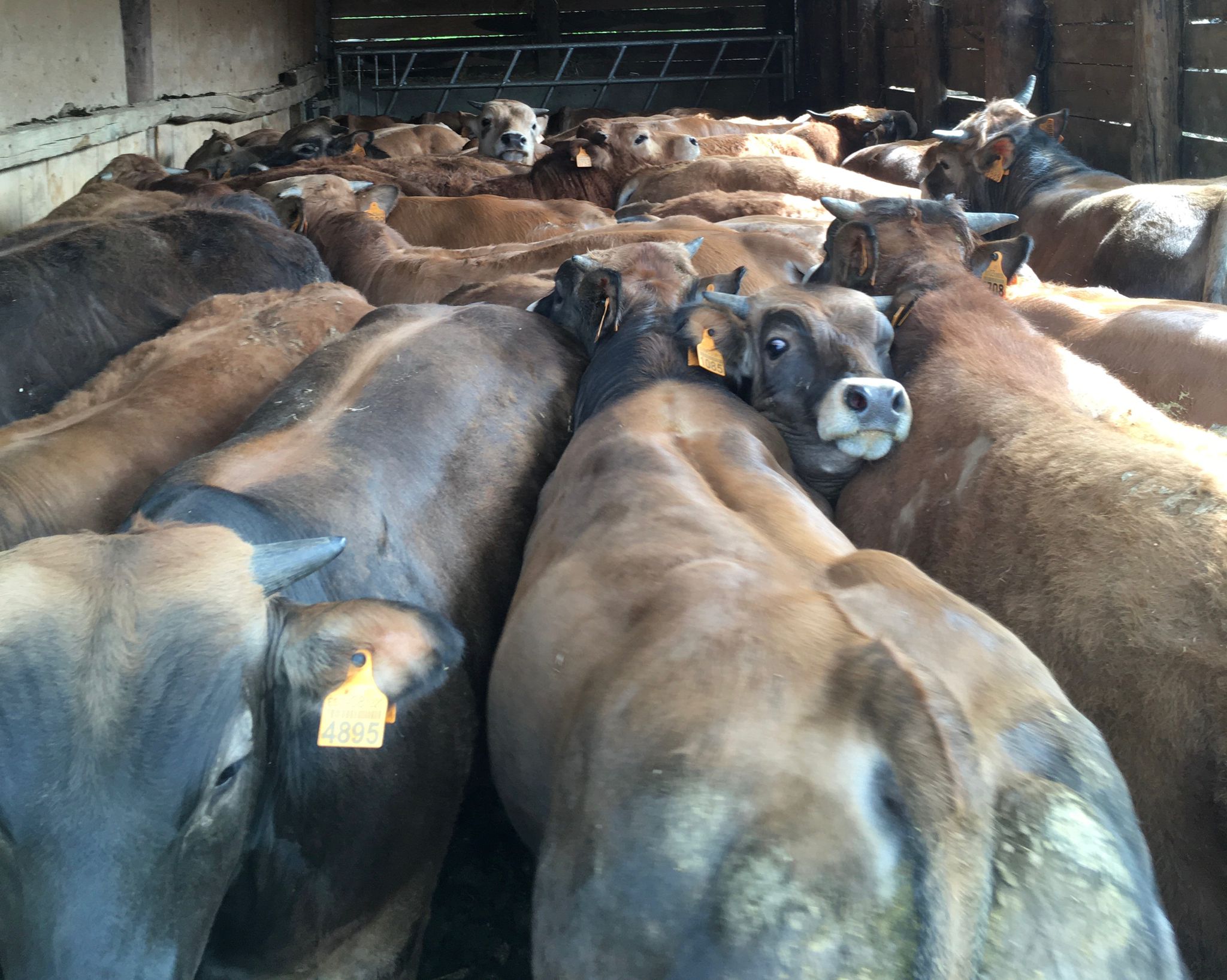 Whatsapp Image 2024-04-18 At 13.08.18 (1)