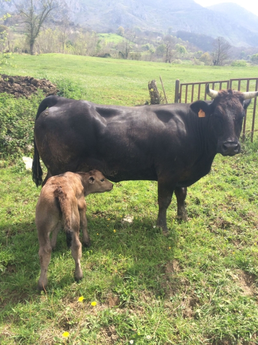 Whatsapp Image 2024-04-18 At 13.08.18